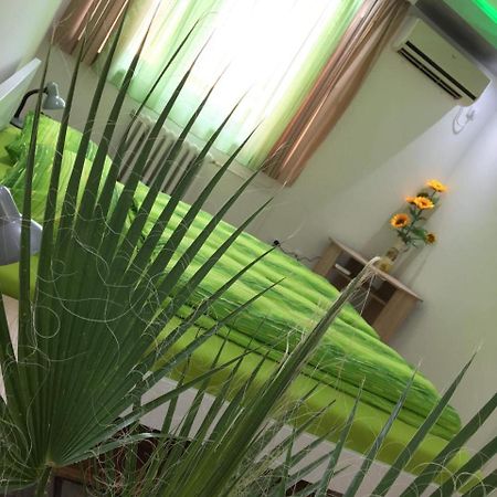 Green Dreams Novi Sad Bagian luar foto