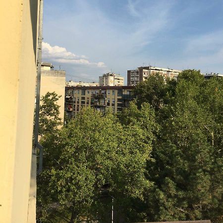 Green Dreams Novi Sad Bagian luar foto